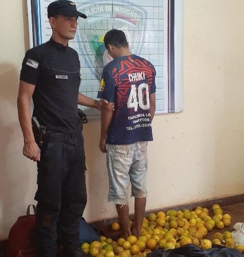 Un joven fue detenido por robar más de 140 kilos de naranjas en Mado – Eldopolis